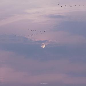 调教 支配 受虐 狂 极端
